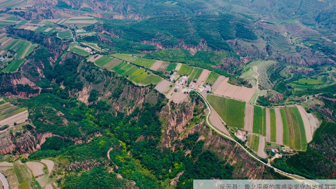 庆云县:鲁北平原的零感染坚守与地理屏障