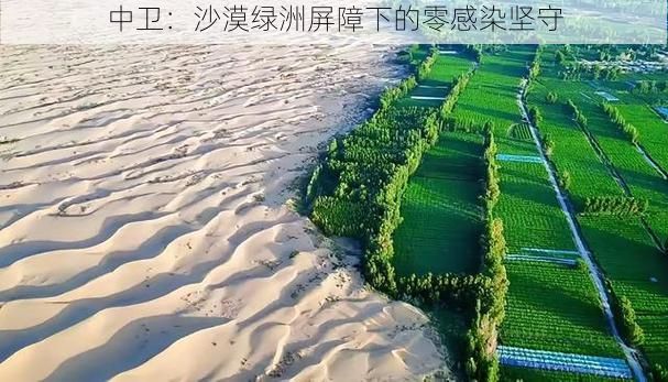 中卫：沙漠绿洲屏障下的零感染坚守