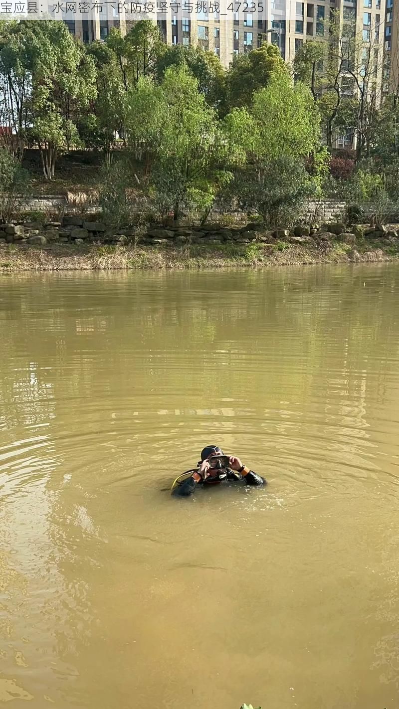 宝应县：水网密布下的防疫坚守与挑战_47235