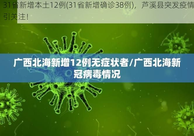 31省新增本土12例(31省新增确诊38例)，芦溪县突发疫情引关注！