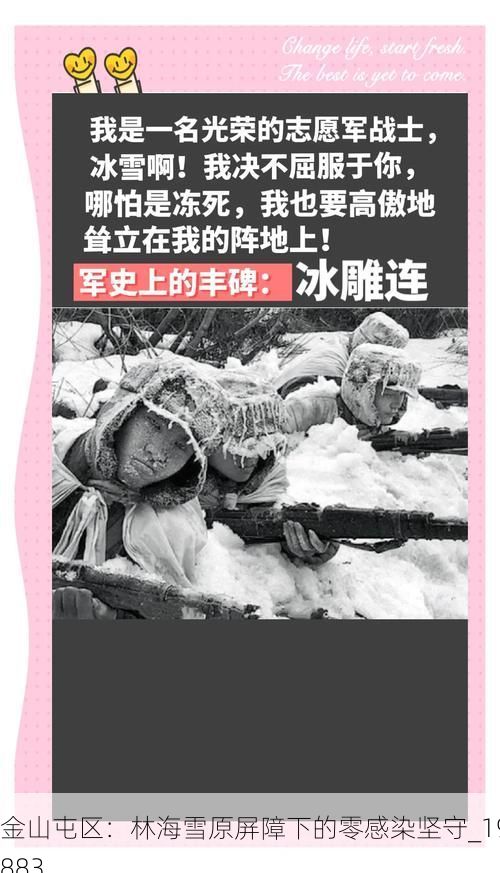 金山屯区：林海雪原屏障下的零感染坚守_19883