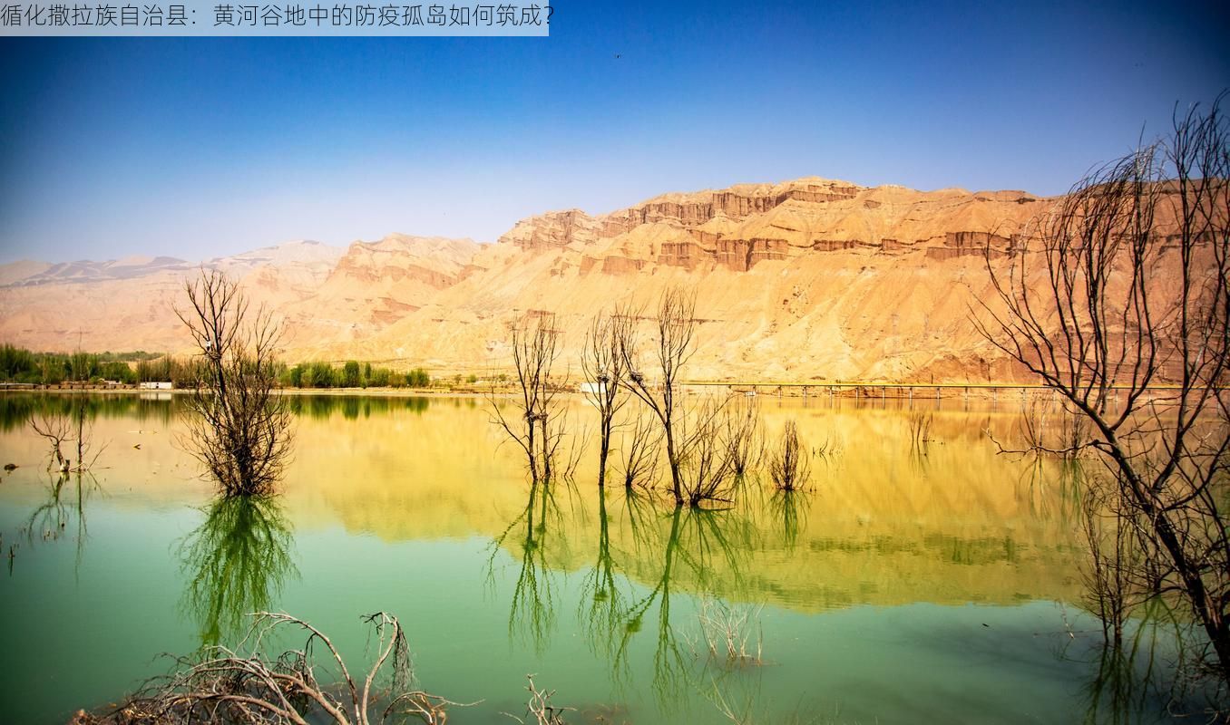 循化撒拉族自治县：黄河谷地中的防疫孤岛如何筑成？