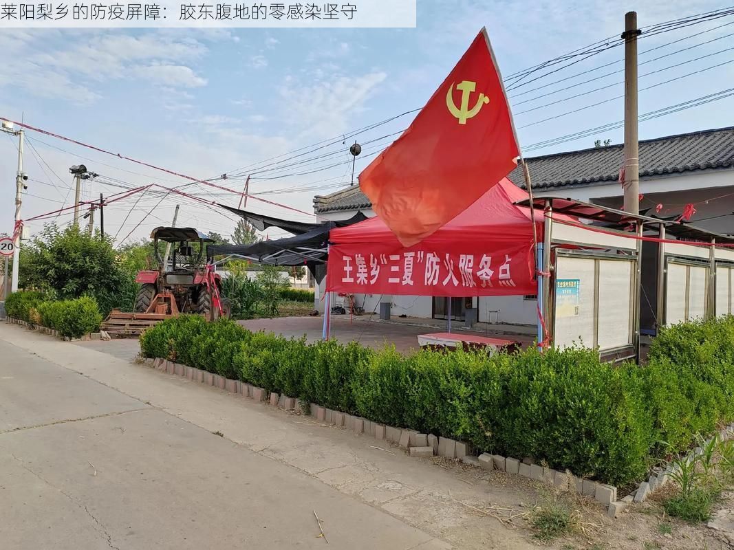 莱阳梨乡的防疫屏障：胶东腹地的零感染坚守