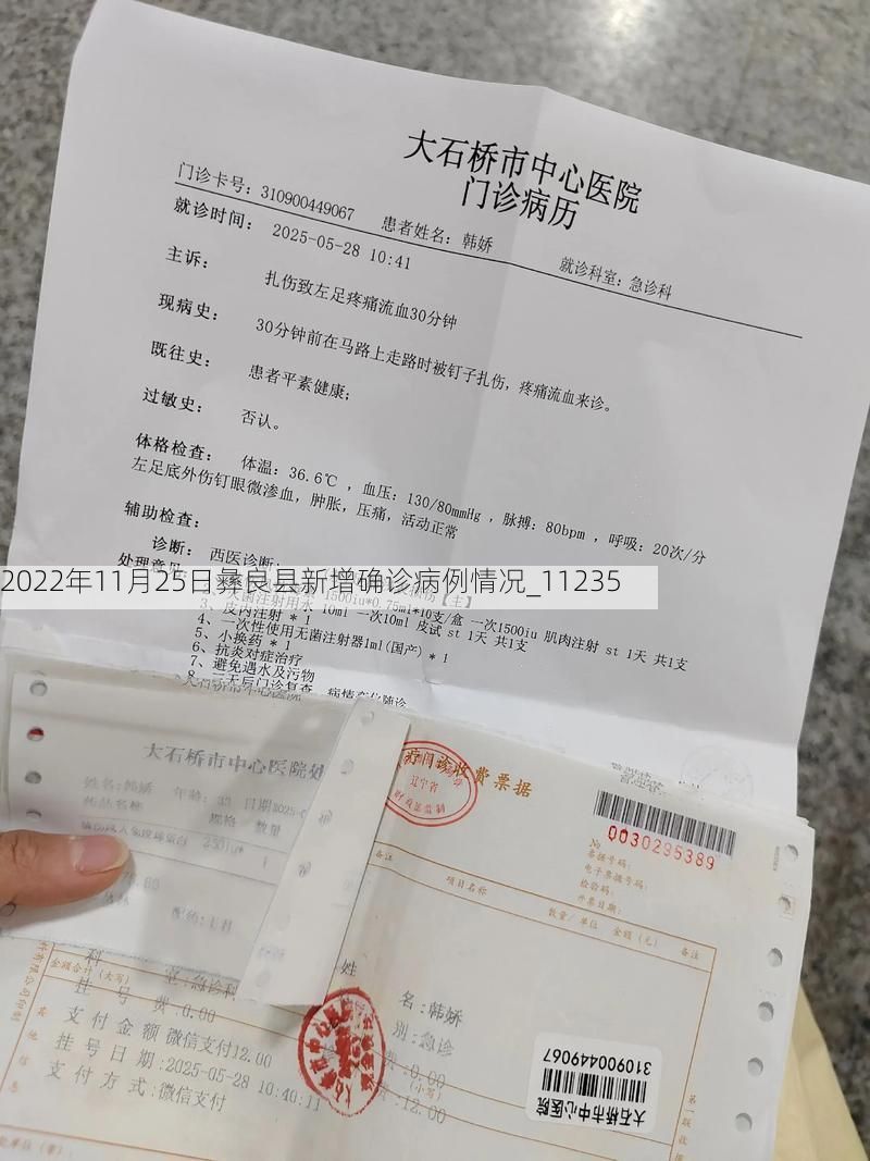 2022年11月25日彝良县新增确诊病例情况_11235