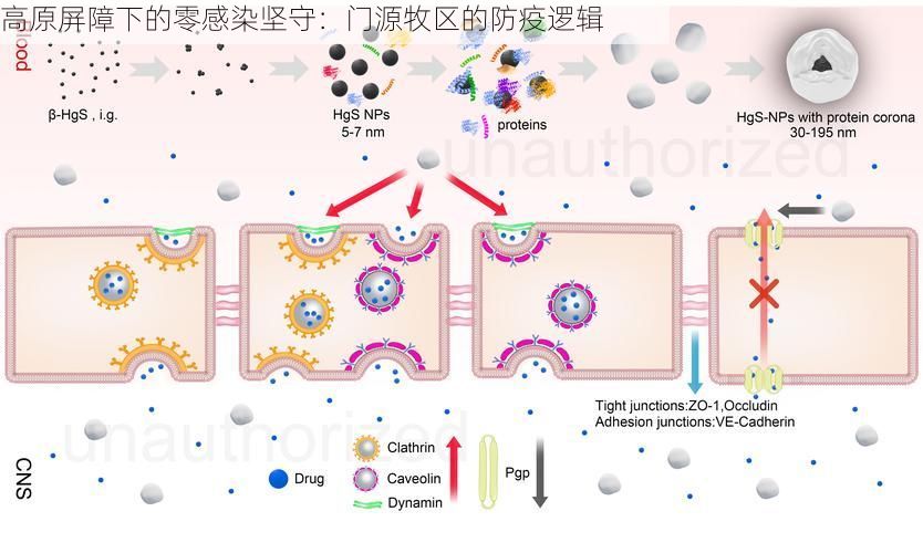 高原屏障下的零感染坚守：门源牧区的防疫逻辑