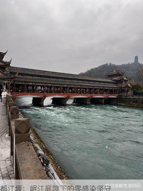 都江堰：岷江屏障下的零感染坚守