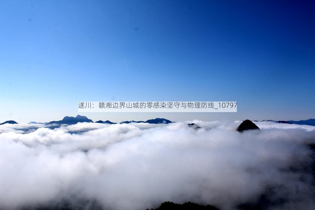 遂川：赣湘边界山城的零感染坚守与物理防线_10797