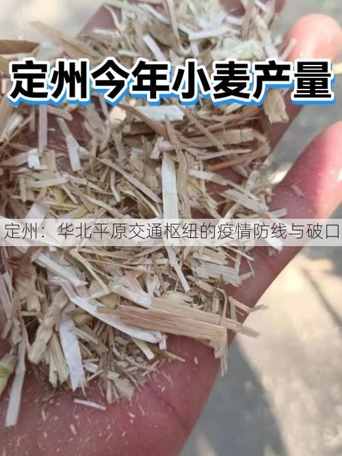 定州：华北平原交通枢纽的疫情防线与破口