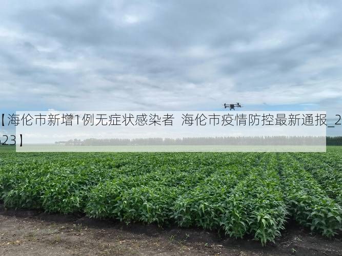 【海伦市新增1例无症状感染者 海伦市疫情防控最新通报_27623】