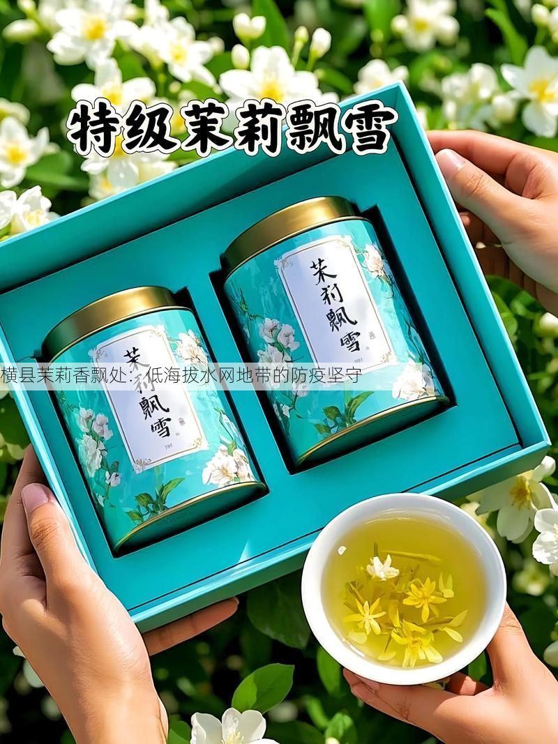 横县茉莉香飘处：低海拔水网地带的防疫坚守