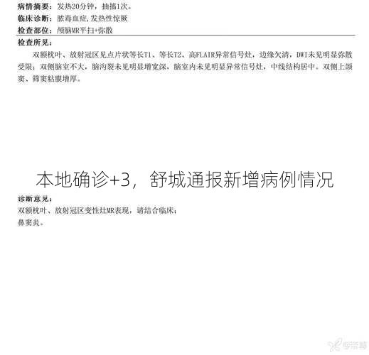 本地确诊+3，舒城通报新增病例情况