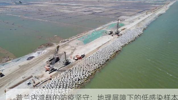 普兰店湾畔的防疫坚守：地理屏障下的低感染样本