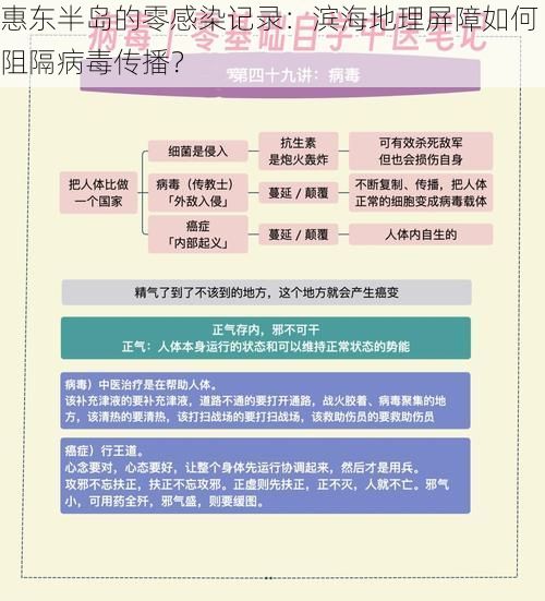 惠东半岛的零感染记录：滨海地理屏障如何阻隔病毒传播？