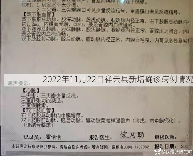 2022年11月22日祥云县新增确诊病例情况