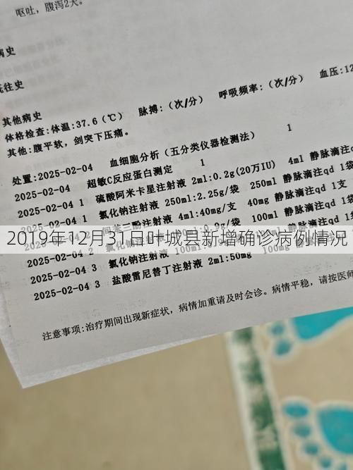 2019年12月31日叶城县新增确诊病例情况