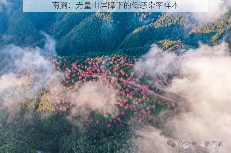 南涧：无量山屏障下的低感染率样本