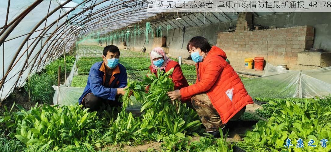 阜康新增1例无症状感染者  阜康市疫情防控最新通报_48178