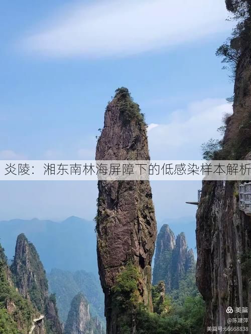 炎陵：湘东南林海屏障下的低感染样本解析