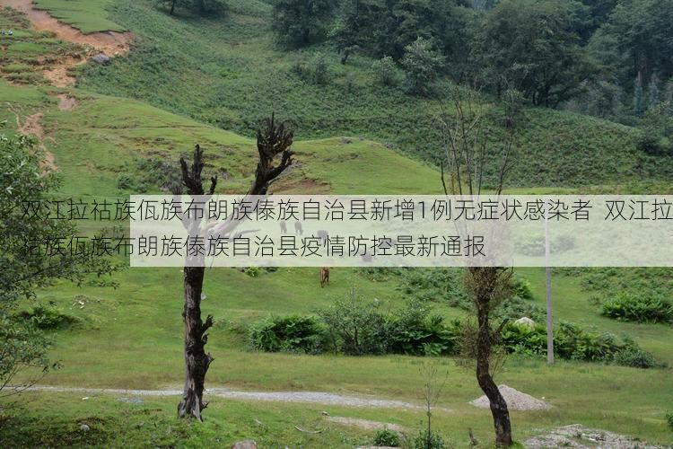 双江拉祜族佤族布朗族傣族自治县新增1例无症状感染者  双江拉祜族佤族布朗族傣族自治县疫情防控最新通报