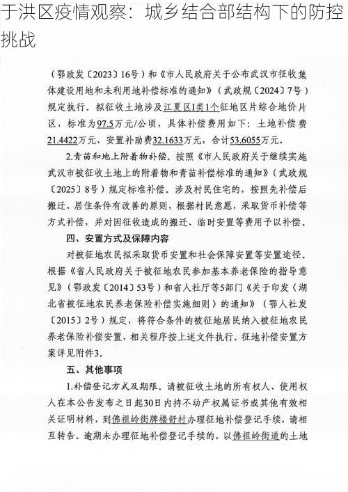 于洪区疫情观察：城乡结合部结构下的防控挑战
