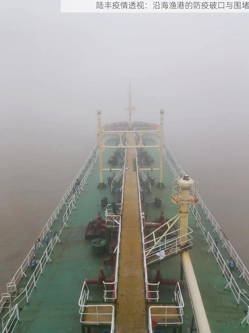 陆丰疫情透视：沿海渔港的防疫破口与围堵