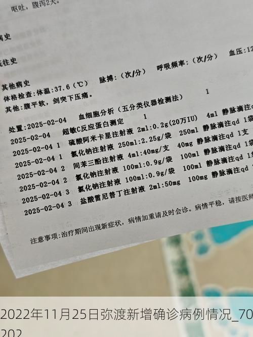 2022年11月25日弥渡新增确诊病例情况_70202