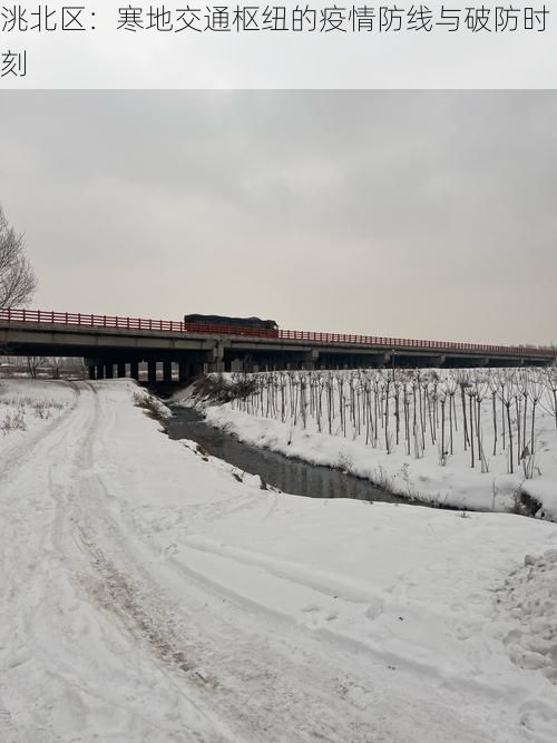 洮北区：寒地交通枢纽的疫情防线与破防时刻
