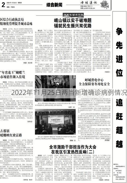 2022年11月25日两当新增确诊病例情况
