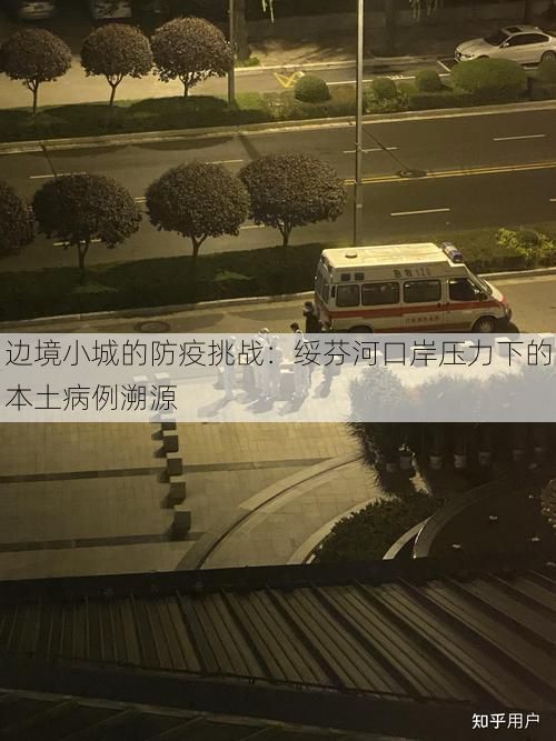 边境小城的防疫挑战：绥芬河口岸压力下的本土病例溯源