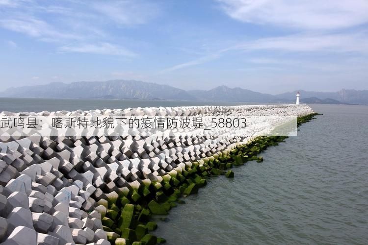 武鸣县：喀斯特地貌下的疫情防波堤_58803