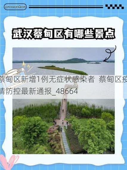 蔡甸区新增1例无症状感染者  蔡甸区疫情防控最新通报_48664