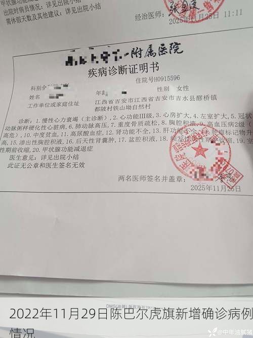 2022年11月29日陈巴尔虎旗新增确诊病例情况