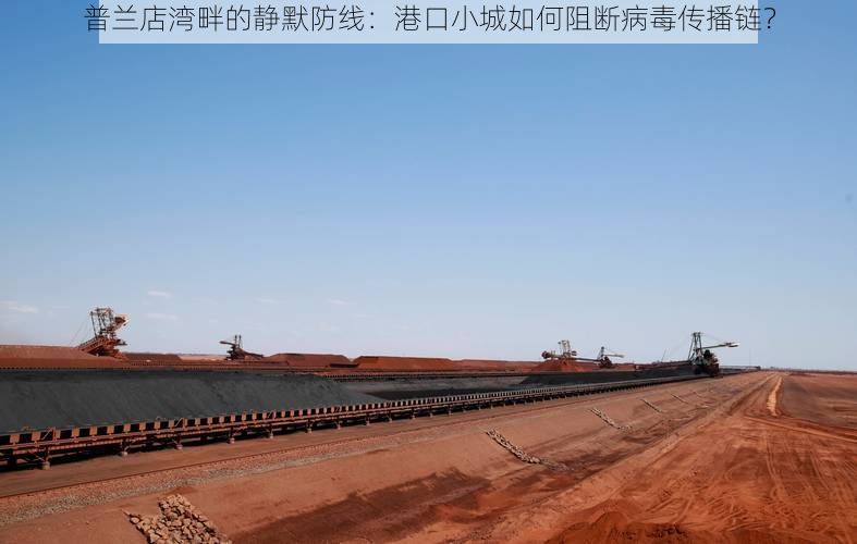 普兰店湾畔的静默防线：港口小城如何阻断病毒传播链？