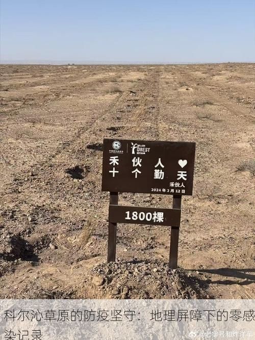 科尔沁草原的防疫坚守：地理屏障下的零感染记录