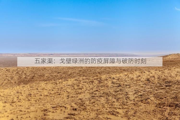 五家渠：戈壁绿洲的防疫屏障与破防时刻