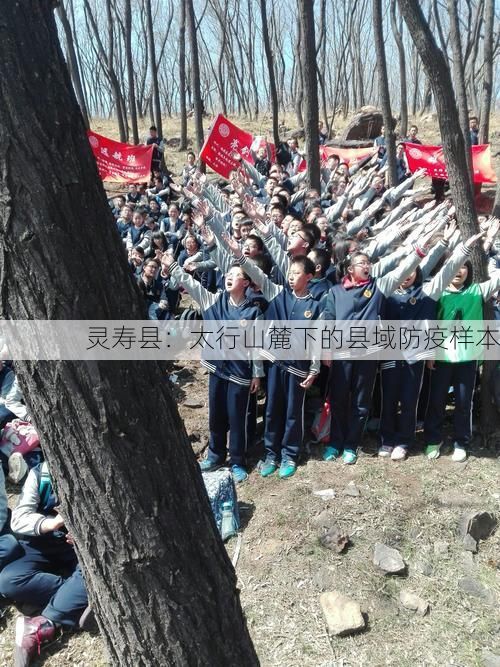 灵寿县：太行山麓下的县域防疫样本