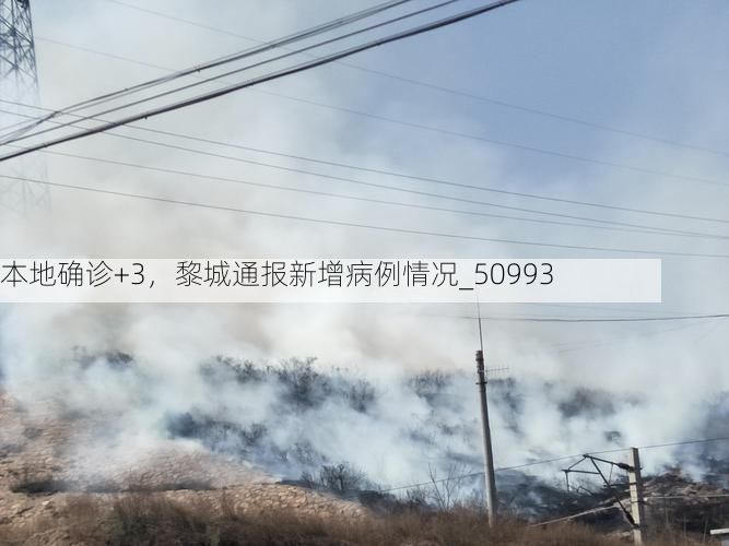 本地确诊+3，黎城通报新增病例情况_50993