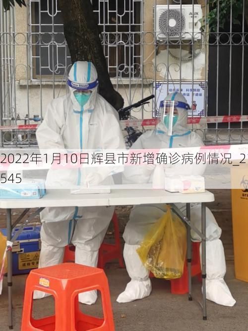 2022年1月10日辉县市新增确诊病例情况_21545