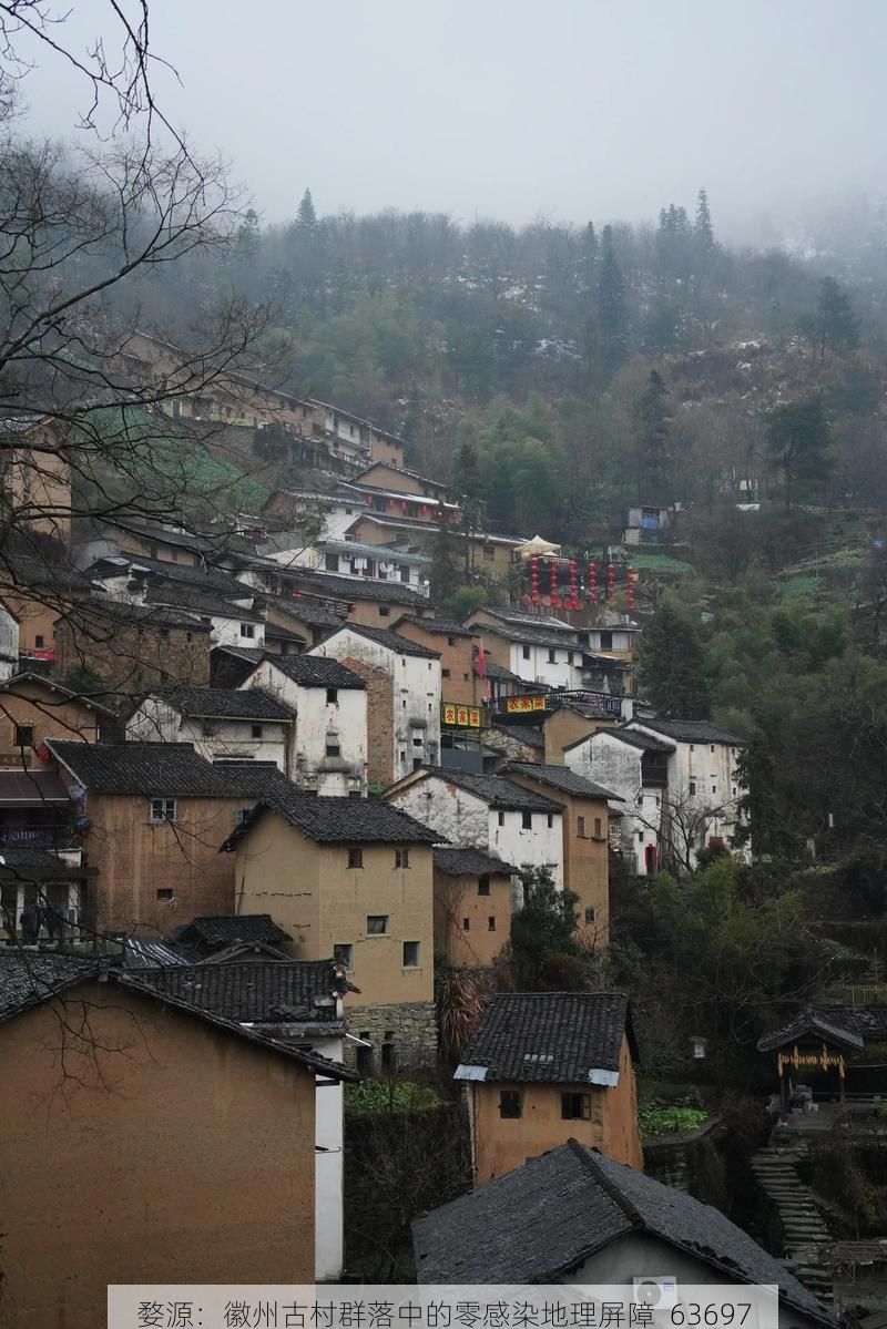 婺源：徽州古村群落中的零感染地理屏障_63697