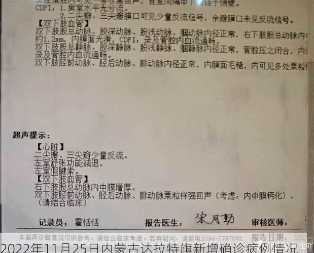 2022年11月25日内蒙古达拉特旗新增确诊病例情况