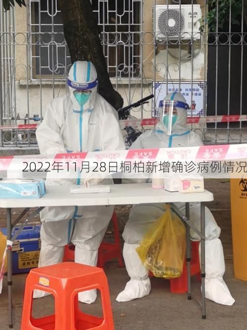 2022年11月28日桐柏新增确诊病例情况