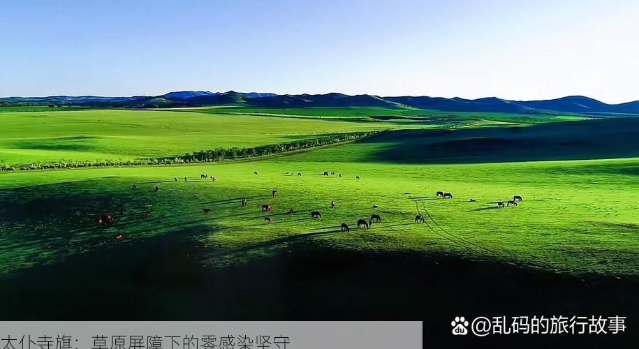 太仆寺旗：草原屏障下的零感染坚守