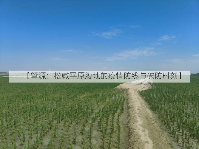 【肇源：松嫩平原腹地的疫情防线与破防时刻】