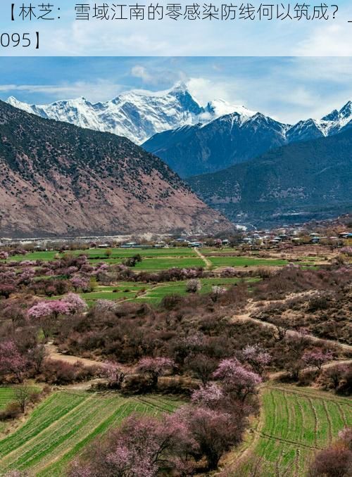 【林芝：雪域江南的零感染防线何以筑成？_27095】