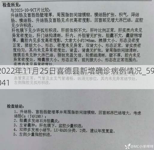 2022年11月25日喜德县新增确诊病例情况_59041