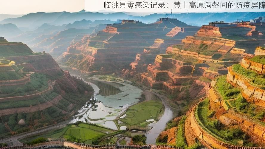 临洮县零感染记录：黄土高原沟壑间的防疫屏障