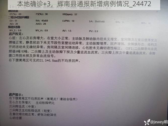 本地确诊+3，辉南县通报新增病例情况_24472