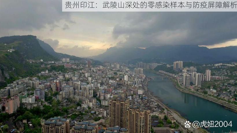 贵州印江：武陵山深处的零感染样本与防疫屏障解析