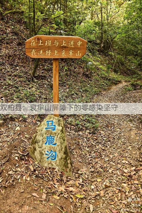 双柏县：哀牢山屏障下的零感染坚守