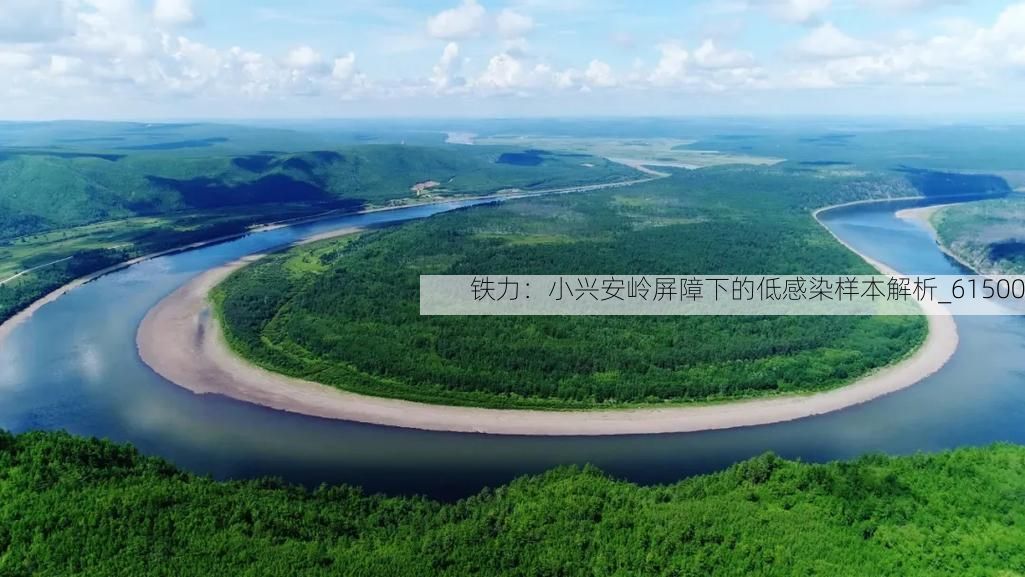 铁力：小兴安岭屏障下的低感染样本解析_61500